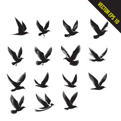 set of seagull flying silhouette vector illustration