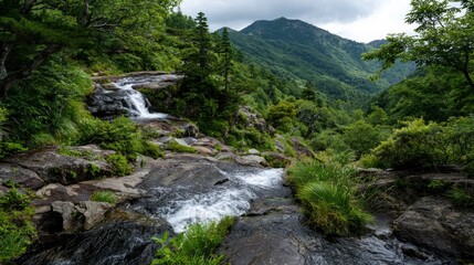 Forest stream flowing over rocks with trees foliage and mountains in the background under a cloudy sky