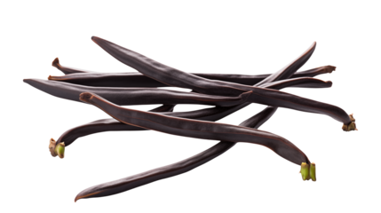 Carob pods are displayed with their dark brown color and unique elongated shapes isolated on transparent background