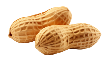 Two peanuts are isolated, showcasing their textured shells isolated on transparent background