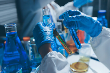 Scientist pipetting medical samples into microplate in laboratory