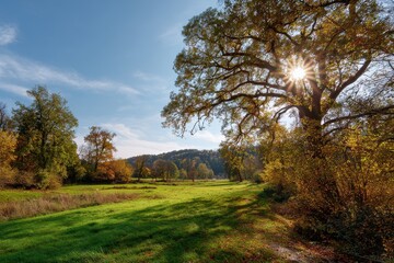 Herbstliche Szenerie bei Sonnenschein