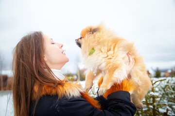 Pomeranian being cherished by a girl during a snowy winter day