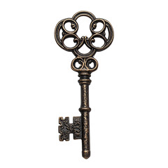 Obraz premium Two keys on a keychain against a white background, a detailed photograph, professional-quality photography