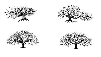 Set of leafless tree silhouettes with detailed branches in black on white background

