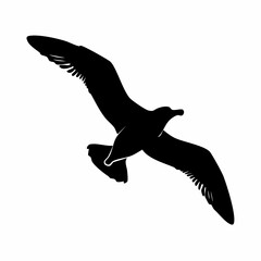 Silhouette of a majestic seagull soaring freely in the sky with grace