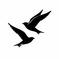 Obraz premium Two black birds in flight with open wings against a white background
