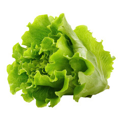 Crisp Green Lettuce Head: Fresh, Vibrant, Ready-to-Eat