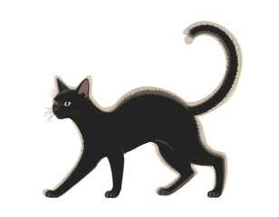 Obraz premium black cat