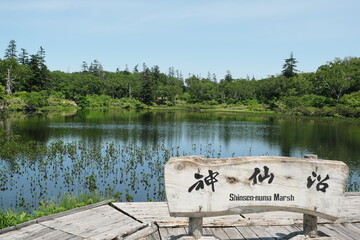 初夏の神仙沼