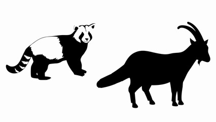 Illustration of a red panda with striped tail and a goat with horns in black and white colors