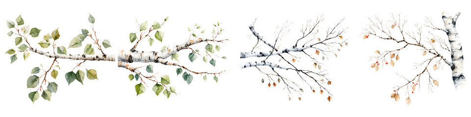 Fototapeta premium Watercolor Birch Branches: Seasonal Variety on White Background