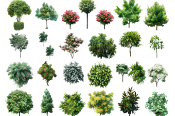 PNG. 30 different types of bushes, flowers and trees in the realistic style of hyperrealism on a white background