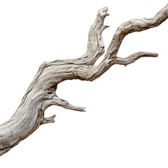 A rustic driftwood branch, isolated on a white background with a clipping path. The driftwood is highly detailed and has beautiful natural patterns of light brown to gray tones.