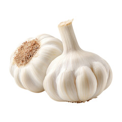 Two Fresh Bulbs of Garlic Close Up Studio Shot, Healthy Organic Food Ingredient