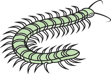A green centipede with many legs and antennae