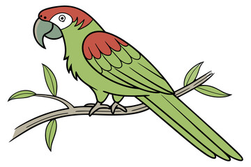 Green and red parrot perched on a tree branch isolated on white background