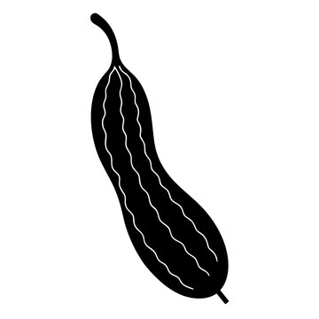 Tamarind pod vector illustration 