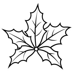 Holly Leaf Outline Botanical Illustration