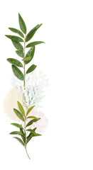 Fototapeta premium A vertical composition of a green leafy branch, silver foliage, and soft pastel circles against a white background.