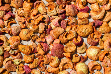 Drying fruits under the sun. Slices of apples are dried.