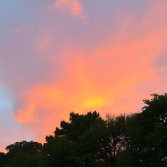 Obraz premium The sky painted orange above perfectly still trees.