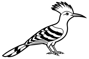 Obraz premium Hoopoe Silhouette Design