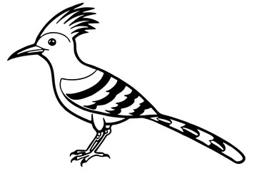 Hoopoe Silhouette Design