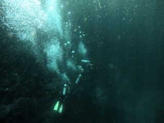 Obraz premium Exploring the silent world beneath the waves, divers plunge into the unknown, discovering the hidden beauty of the ocean's depths.