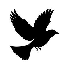Obraz premium bird silhouette vector