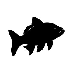 silhouette fish seabass on white background, vector illustration