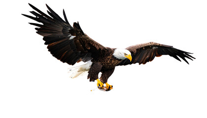 High-speed capture of eagle catching fish from lake isolated on white background. Png