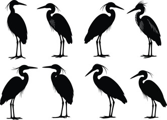 Obraz premium Collection of black silhouettes of herons standing on white background