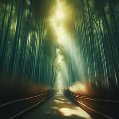 Bamboo Forest Path Sunlight struggles to penetrate a dense bambo