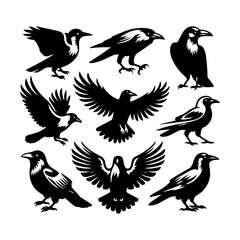 Fototapeta premium 9 crow vector, 