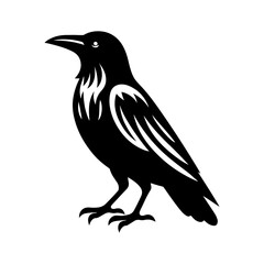 crow black silhouette vector, with white background.