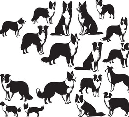 Border Collie Dog Vector – Silhouette 