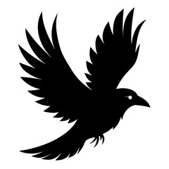 Obraz premium A sleek glossy black crow in flight against a white background