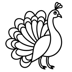 Fototapeta premium Elegant line art illustration of a peacock with its tail fully fanned out