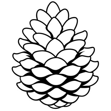 black and white pine cone outline clip art preview