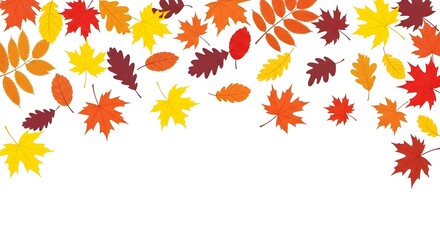 A vibrant collection of colorful autumn leaves forms a decorative border against a clean white background