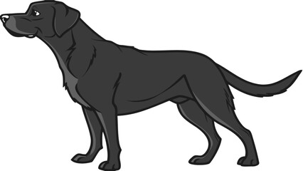 Illustration of black labrador retriever dog breed standing side view profile vector drawing pet animal artwork