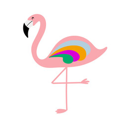 flamingo vector illustration