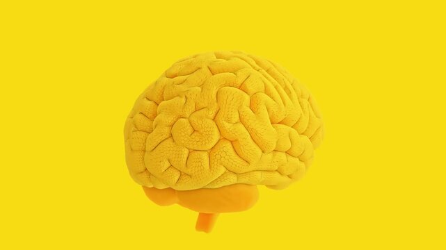 Brain Simulate animation revolves around itself seamless looping. Yellow brain shows stimulation of memory, creativity and positive thinking. Minimal idea concept, 3D Render.