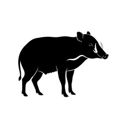 Fototapeta premium Silhouette of a wild boar standing, showcasing its curved tusks and detailed form against white background.