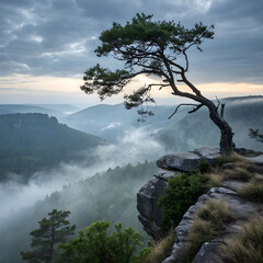 Serene landscape of a single windswept tree growing on a gentle hillside, surrounded by calm skies and soft natural light.
