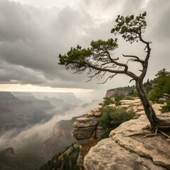 Serene landscape of a single windswept tree growing on a gentle hillside, surrounded by calm skies and soft natural light.