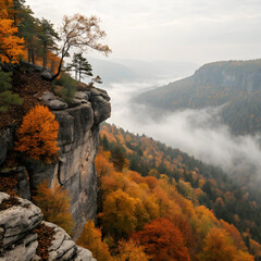 Sharp rocky cliff overlooking a forest of orange trees, with vibrant autumn colors and a clear sky, creating a striking natural view.