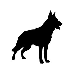 Cat silhouette with white background