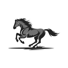 Horse silhouette with white background